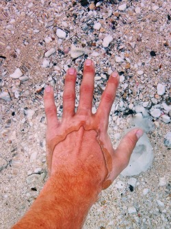 huggingsherlockinthetardis:  stunningpicture:  Very clear water.  I thought this guy had put the skin of someone elses hand over his hand until i read the caption 