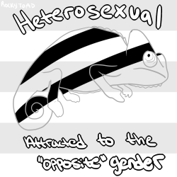 she-devil-kotie:  rockytoad:  Sexualities! Sorry if I missed any!  THIS IS EXTREMELY HELPFUL BECAUSE I NEVER KNEW LIKE HALF OF THESE THANK YOU 