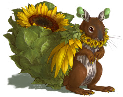 iguanamouth: a sunflower squirrel commission for ashley - THEY DIDNT know the kind of plant they wanted to be tossed together at first, so heres the rest of the UNPICKED DESIGNS plus the first sketch ………………. !   must chase!!!! &gt; n&lt;