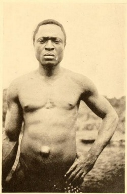 Nigerian Ekoi man, from In the shadow of the Bush, by Percy Amaury Talbot. Via Internet Archive.