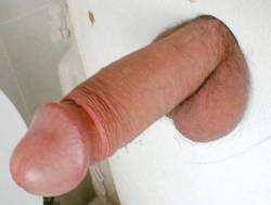 digcock69: jjbict:  Follow jjbict.tumblr.com ONLY if you truly LOVE COCK!   I’m looking for a big cock to suck at a glory hole  I’d suck that 