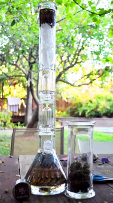 reefer-goodness:   2 foot double perc AMG 