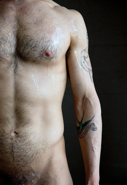 diaryof-alittleswitch:  I love all of this. The belly and chest hair, the light, his tattoos and pose. Just beautiful  