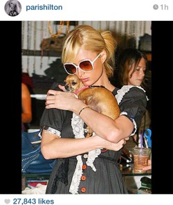 sirmichaelking:  jukadiie:  popculturediedin2009:  today we say goodbye to an icon of the 00s. tinkerbell was a trendsetter, a trailblazer. the classic image of the modern hollywood star with the tiny dog in their purse - it all comes back to tinkerbell.