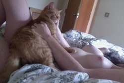 onenakedsunday:  forpuppy:  blooming-in-the-downpour:  Ginger meowsers  Hemi is keeping me company until you get home…   No, his name is Napoleon and he keeps me company full stop :)