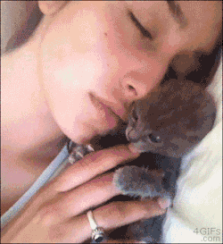 Such a cute gif and then she gives the little kitten a really big kiss poor thing probably didn&rsquo;t realise what the hell was going on.