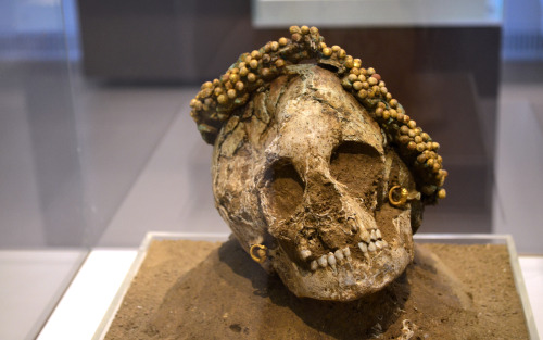 greek-museums: Archaeological Museum of Patra: Four crowned skulls of two little girls, and two women, from the North Cemetery in Patras, from the Hellenistic Period.   The first skull bears a wreath of gilded myrtle fruits. The deceased wore golden