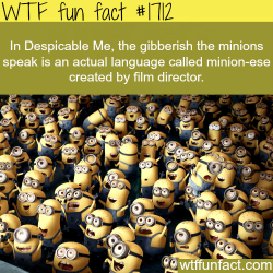 wtf-fun-factss:  Despicable Me, Minions language facts - WTF fun facts