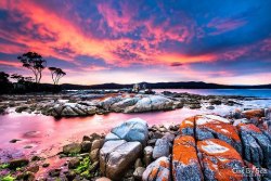 Bay of Fires (Binalong Bay, Tasmania, Australia)