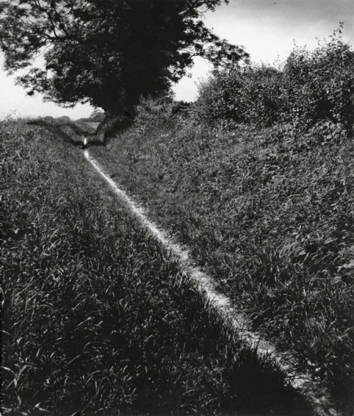 gacougnol:  Bill BrandtThe Pilgrim Way Kent 1950
