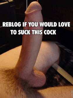 sissy-stable:  Would you like to suck this cock ?