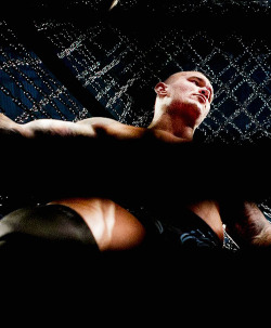 ninjar0llins:  WWE Website’s 1OO Best Photos of 2O13   Where is this view from? Is it from under the Elimination Chamber pod?! Great view of what its like to be under Randy Orton!