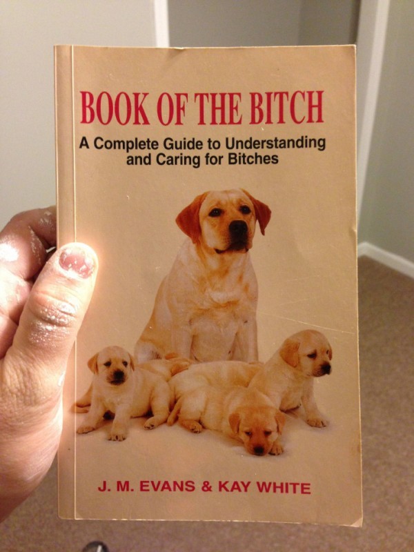 The book of the bitch