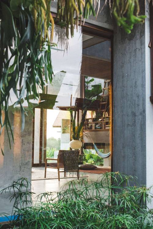 aestheticsof:    Tropical Brutalism: Concrete and Timber Home in Bali - Aesthetics of the Everyday  