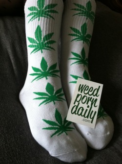 weedporndaily:  WEEDPORNDAILY SOCKS only ű shipped! We even ship internationally!   Dope I want some