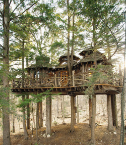 dirt-road-anthem:  lizzielethal:  dirt-road-anthem:  lizzielethal:  treehauslove:  A Treemansion. Pete Nelson’s creation 25-feet up in mature hemlock trees. The treehouse accommodates 4 persons and has full plumbing with cold and hot water. The stiff