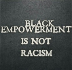 stereoculturesociety:  pattilahell:  blackgalfly:  kidbuudha:  lovelykeba:  usafjeff:  ripspaddedroom:  feel that!  so white empowerment shouldn’t be racist when we start getting blamed by blacks for some stupid shit.  Do whites get blamed for stupid