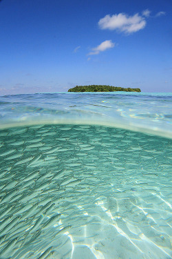 0ce4n-g0d:  Rush hour at Gemendhoo today by Leina Sevele on Flickr
