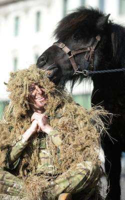j-wolf-harding:  Great picture of Sniper Corporal Pat McKinney, 31, from 6th Battalion The Royal Regiment of Scotland, discovers that his sniper suit is somewhat irresistible to the Regimental Mascot, Shetland Pony, Cruachan 4th. Pat and Cruachan were