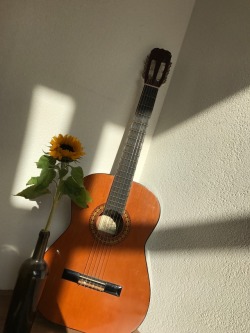 autumniskind: a sunflower &amp; my gitar at golden hour