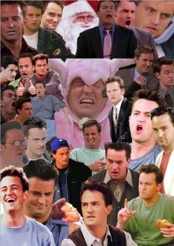 lilacstreet:  rebellllion:  fanwh0re:  Chandler Bing Appreciation Post  um how could you not reblog  im printing this off and putting it on my door 