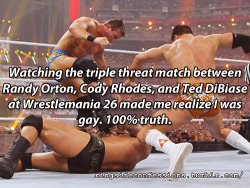 &ldquo;Watching the triple threat match between Randy Orton, Cody Rhodes, and Ted DiBiase at Wrestlemania 26 made me realize I was gay. 100% truth.&rdquo; Ah I remember that match well &gt;:) might not be the reason I’m gay now but watching wrestling