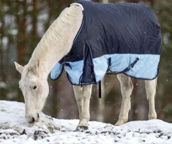 equine-awareness: New Study Shows Horses Can Communicate Their Blanketing Preferences Blanket? No blanket? Blanket? Oh, that frustrating inner battle on a cool day. There are many good reasons to put a blanket on your horse, but there are just as many