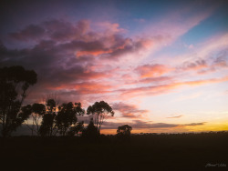 etherealvistas:  Sunset Meadow (Australia) by Me