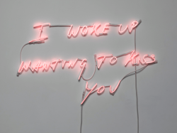 melisica:   by Tracey Emin   