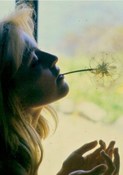 Sharon Tate photographed in Big Sur by Walter Chappell, 1964