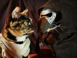 cat-cosplay:  Rey: “Where are the others?”  Kylo Ren: “You mean the murderers, traitors and thieves you call friends? You’ll be relieved to hear I have no idea.” 