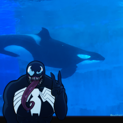 PUSSIES OUT FOR TILIKUM!
