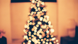 ellosteph:  I love Christmas lights so freaking much  
