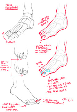 kurisu004:    How to draw feet   