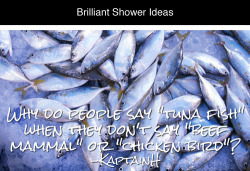tastefullyoffensive:  15 Brilliant Shower Ideas [mashable]Previously: Crazy Ideas That Are Borderline Genius 