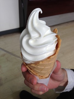 this ice cream cone represents the cold duality of life, it represents the swirled expectations that all people expect and have, while simultaneously showing that it&rsquo;s all whitewashed, and nothing is as it appears, even ice cream.