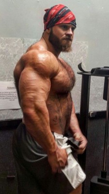 Mounds of muscles and awesome hairy pecs - WOOF