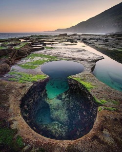 unboxingearth:   Who wants to jump in? | Figure 8 Pool, Royal National Park, Australia