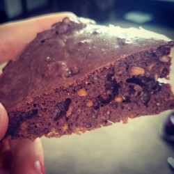 rebeccalovesfitnessandyou:  Made some sweet potato protein brownies which hit the mark with my sweet cravings today!  Three slices like the one pictured contain- Carbs: 25g Prorein: 24g Fats: 18g #fitfam #fitfood #fitspo #protein #proteinbrownies #highpro