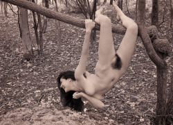 canazei:  nudeforjoy:  nudeisnotrude: Models in trees again. Â Take a model, put her in a forest, and you can guarantee that naked tree climbing will happen. I love it.  Bush in the bush 