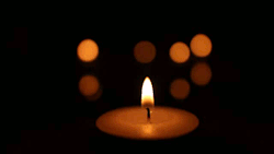 hardiwb:  Tealight candle gif animation 