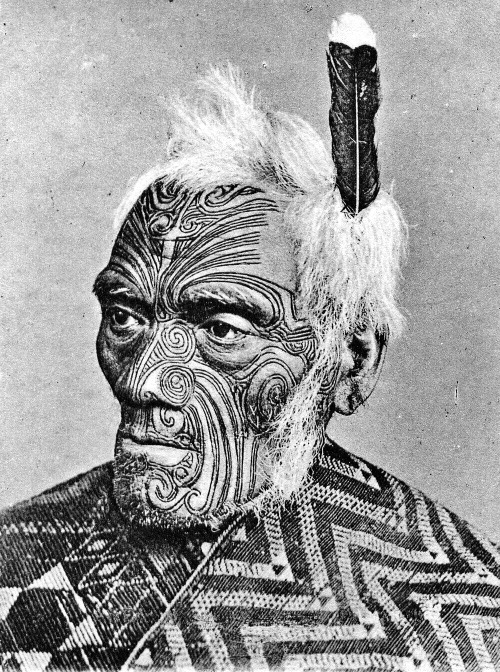 Homme tatoué Maori.