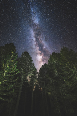 lsleofskye:  Milky Way deep in the forest | Sakis Pallas