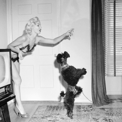 Burlesque dancer Misty Ayers c. 1950s