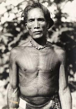 indigenouswisdom:Bontoc WarriorThe Igorot are a people native to the mountains of Luzon, Philippines. The Igarot can be divided into six ethnolinguistic groups; Bontoc, Ibaloi, Isneg, Kalinga, Ifugao and Kankanaey. Igorot territory was once plentiful