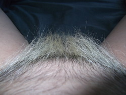 Bleached, You can see the roots&hellip;