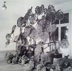 evokesart:  Henri Matisse’s studio - Hotel Regina, Nice, 1948 