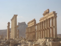 via-appia:Palmyra, Syria. Destroyed by Daesh in 2015. Under restoration currently and should be open again to tourists in 2019. how sad
