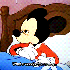 illcallmyselfdaggerquill:  Mickey Mouse understands me so well. -C 