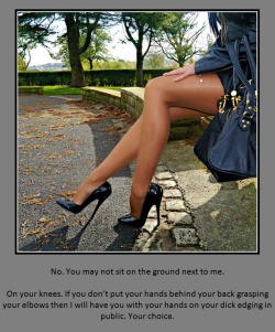 No. You may not sit on the ground next to me.On your knees. If you don’t put your hands behind your back grasping your elbows then I will have you with your hands on your dick edging in public. Your choice.
